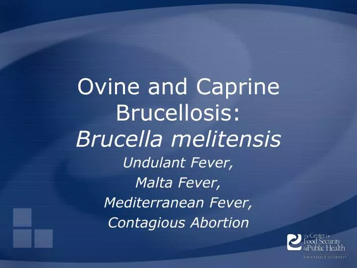 ovine and caprine brucellosis brucella melitensis n.