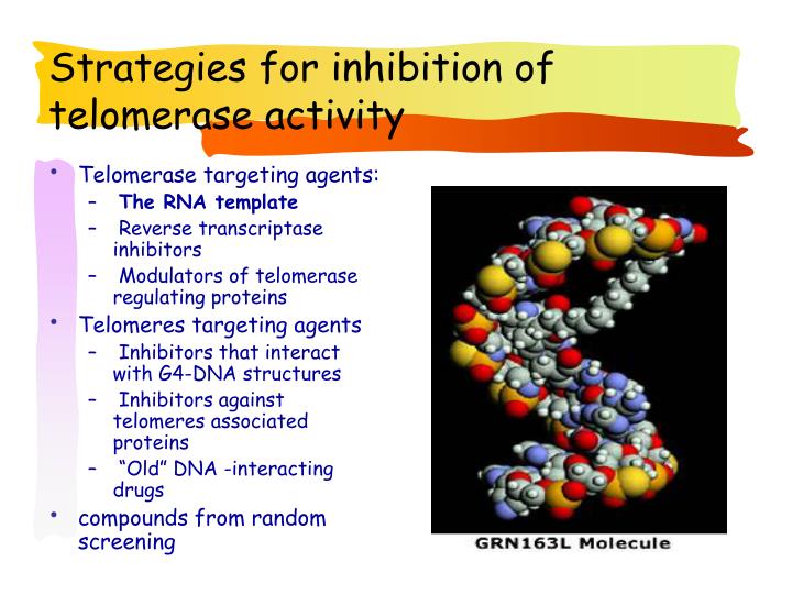 Overview of telomeres telomerase biology Clinical implications Biology Diagrams