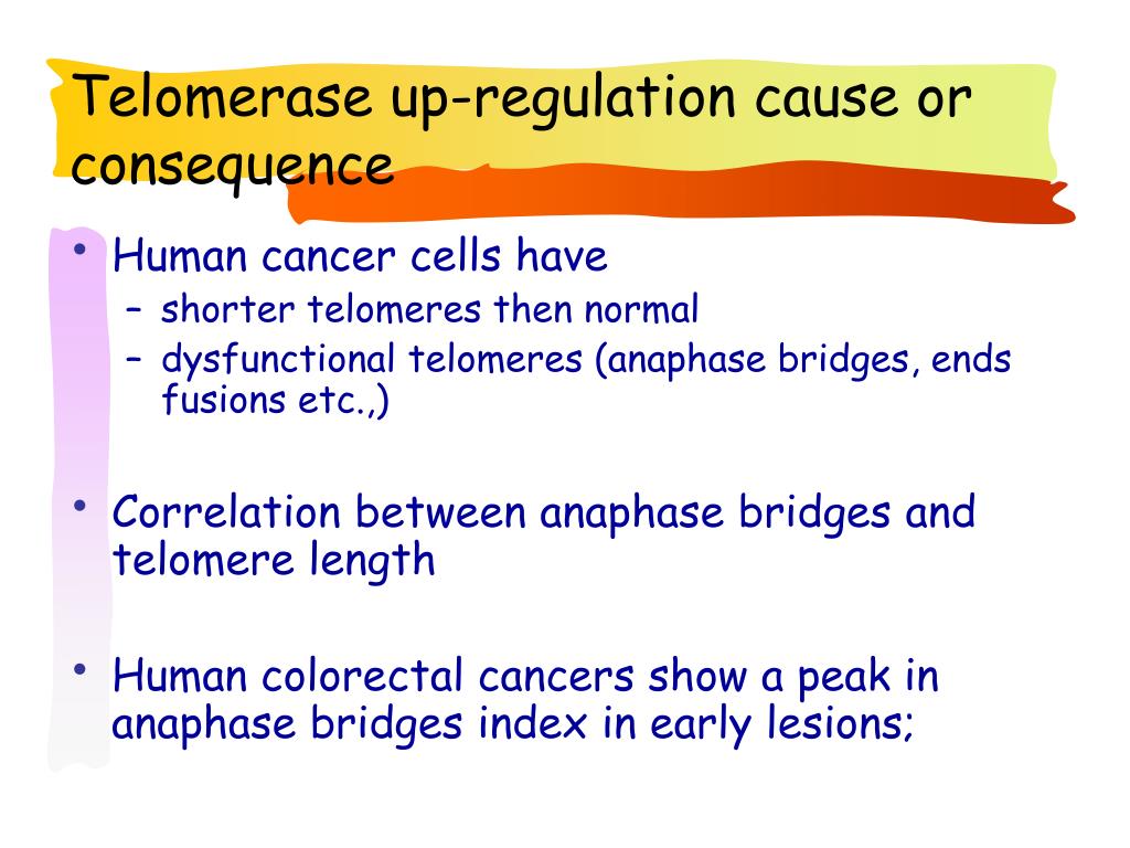 Overview of telomeres & telomerase biology: Clinical implications ... Biology Diagrams