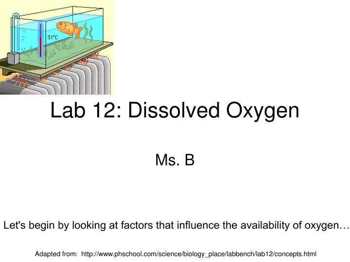 Ppt Lab 12 Dissolved Oxygen Powerpoint Presentation Free