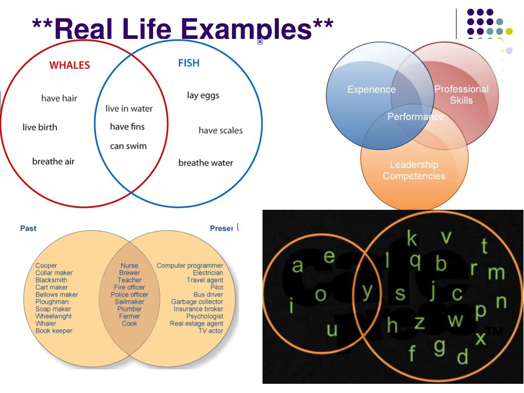 Real life на русском. Life примеры. Real Life example. Venn diagram ppt. Venn diagram presentation.