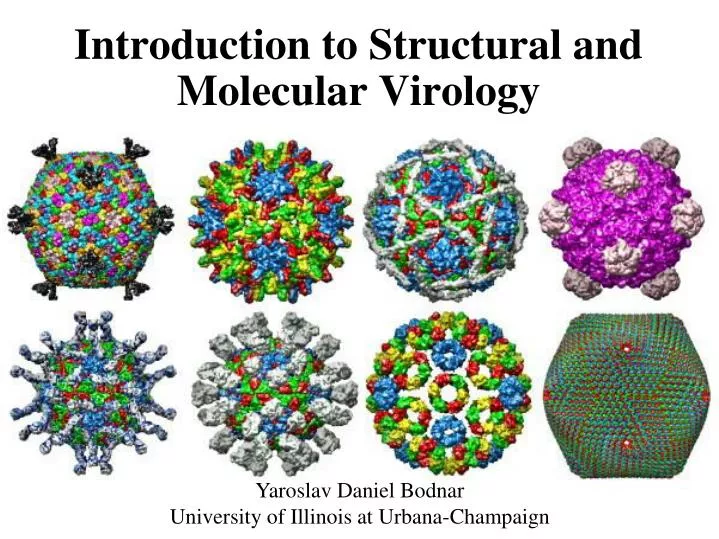 PPT Introduction to Structural and Molecular Virology PowerPoint