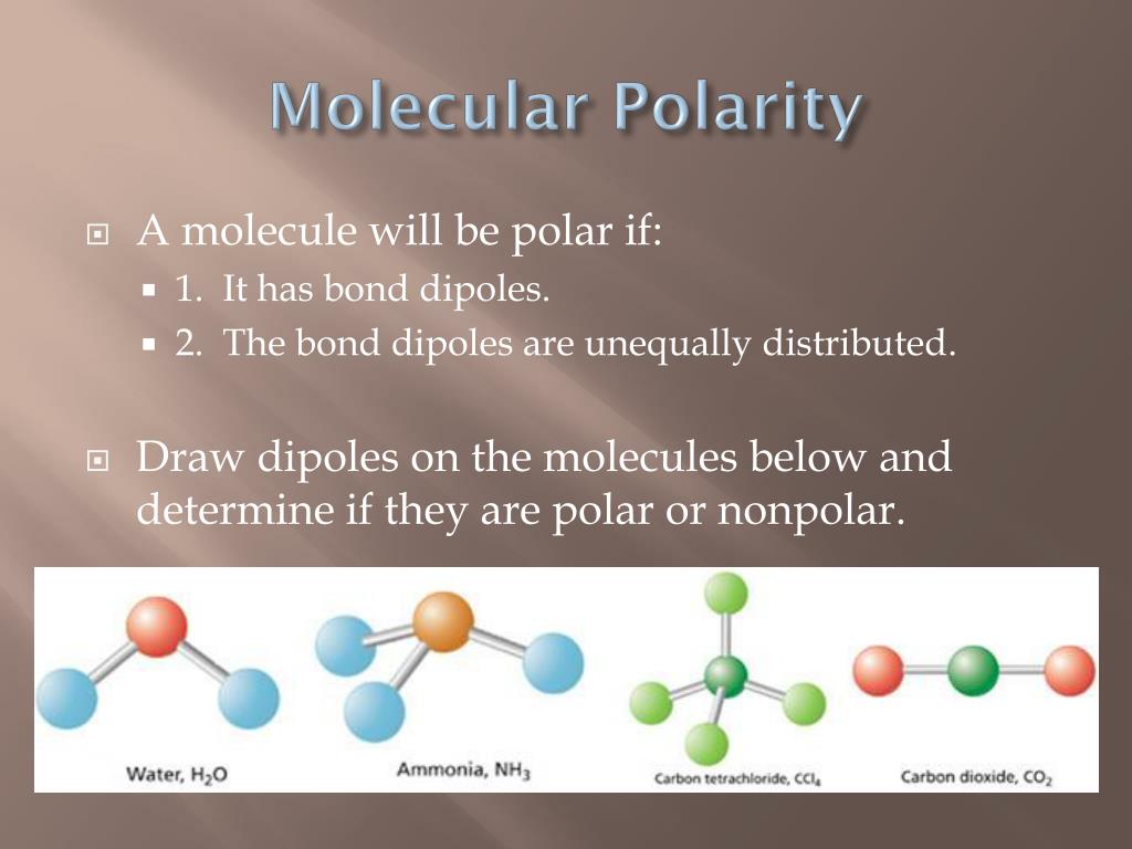 PPT - Polarity PowerPoint Presentation, free download - ID:5688400