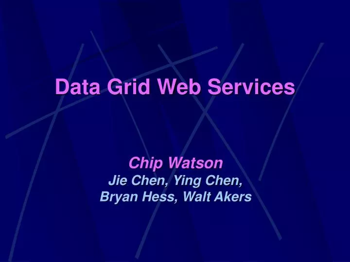 data grid web services n.