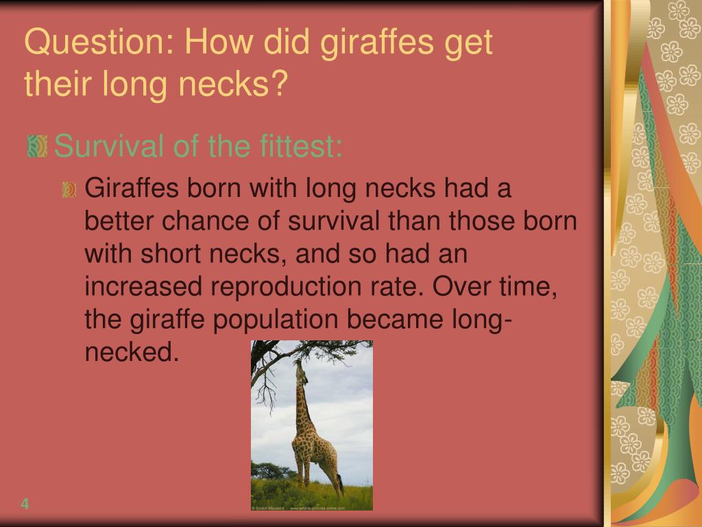 PPT - Research Critique: PowerPoint Presentation, free download - ID