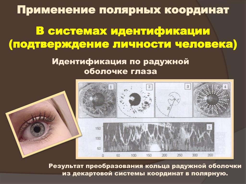 PPT - План: Географическая система координат Географическая система координат на