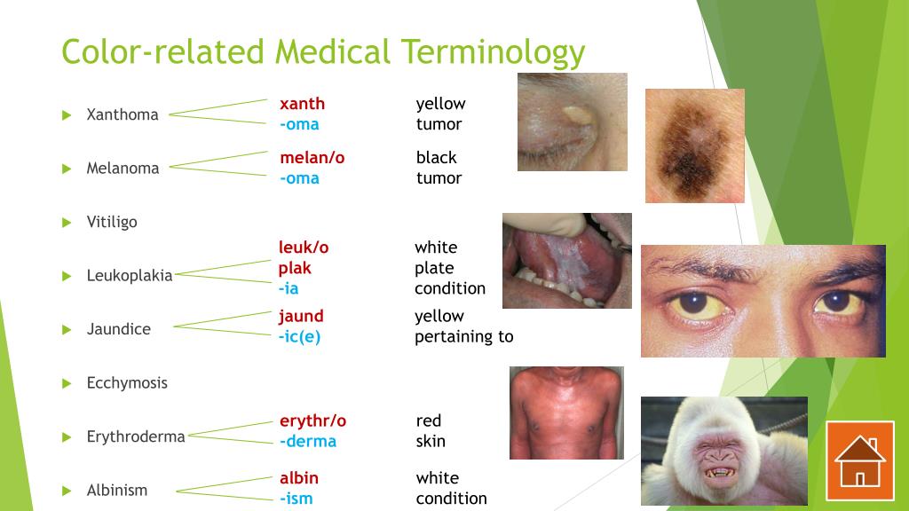 oma medical term oma medical term