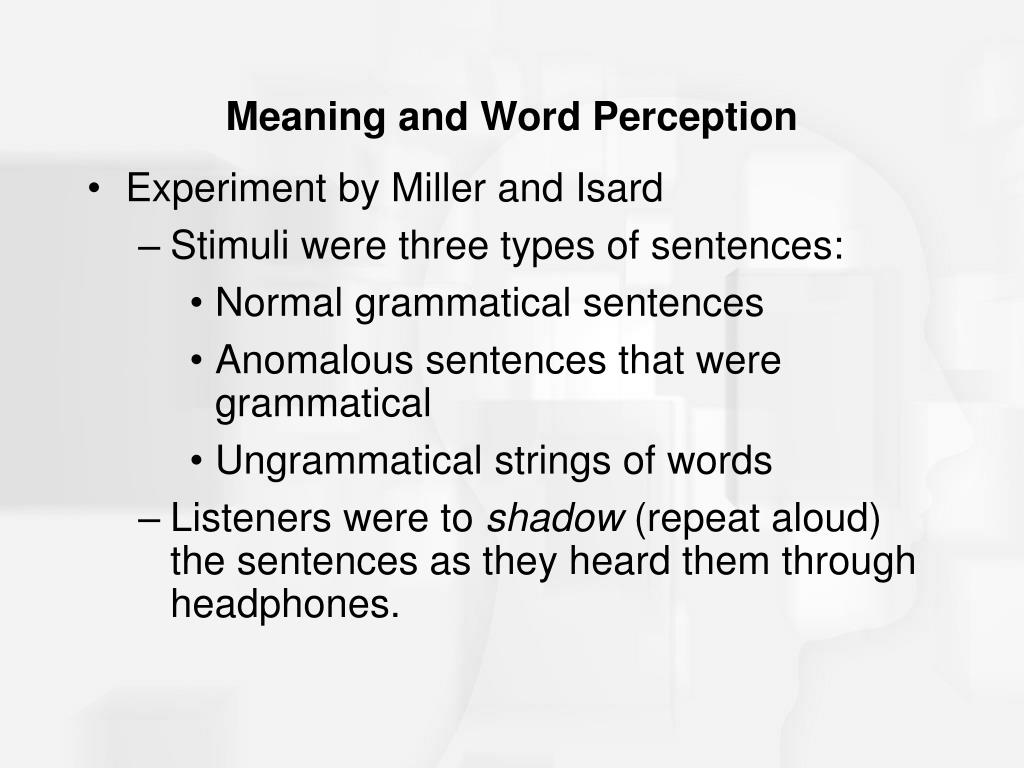 another word for speech perception