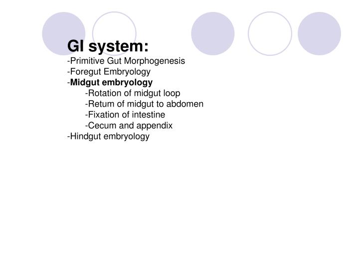 PPT - Development of GI system PowerPoint Presentation - ID:5693177