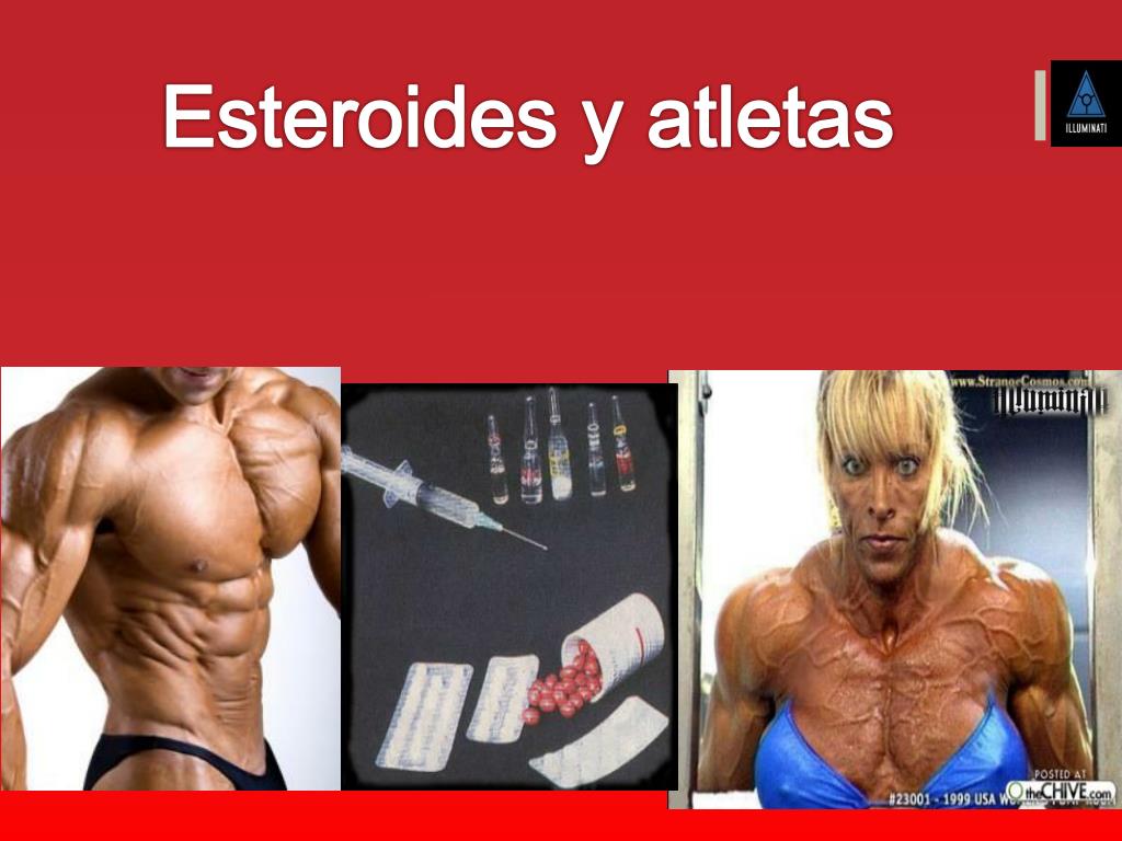 los mejores ciclos para ganar masa muscular Guías e informes