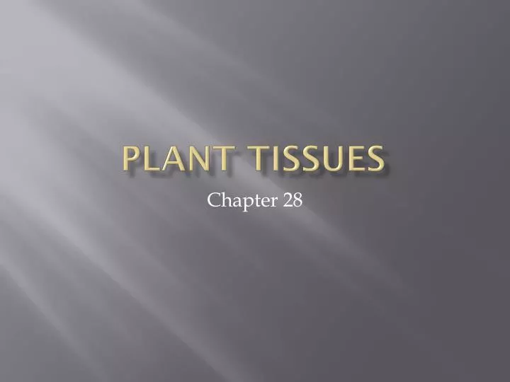 plant tissues n.