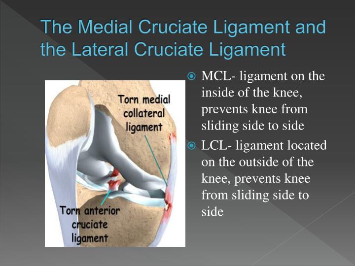 the ways of treatment of the medial collateral ligament injury Learn about the reasons for knee ligament repair or when surgery may be medial collateral ligament early medical treatment for knee ligament injury may. the ways of treatment of the medial collateral ligament injury Learn about the reasons for knee ligament repair or when surgery may be medial collateral ligament early medical treatment for knee ligament injury may.