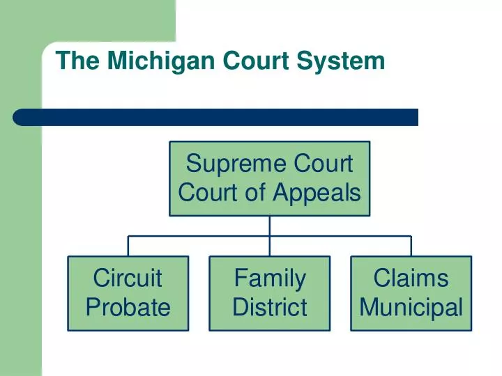 PPT The Michigan Court System PowerPoint Presentation, free download