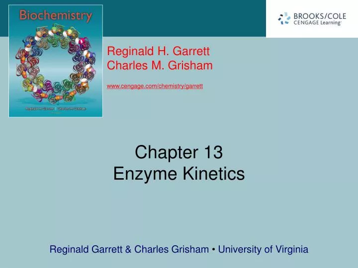 chapter 13 enzyme kinetics n.