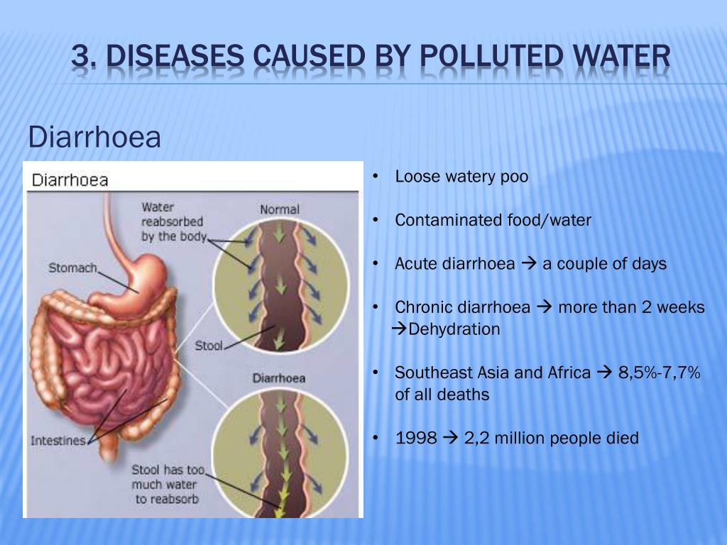 PPT - Safe drinking water for everyone ? PowerPoint Presentation, free
