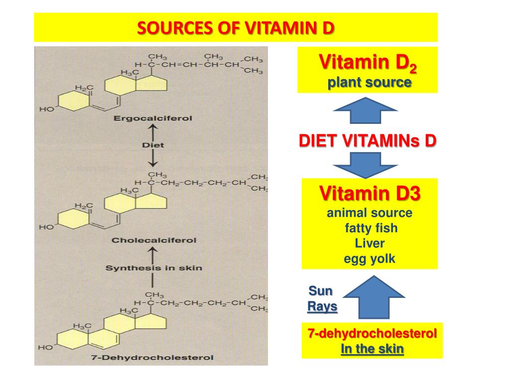 PPT Calcium Metabolism, Homeostasis & Related Diseases PowerPoint