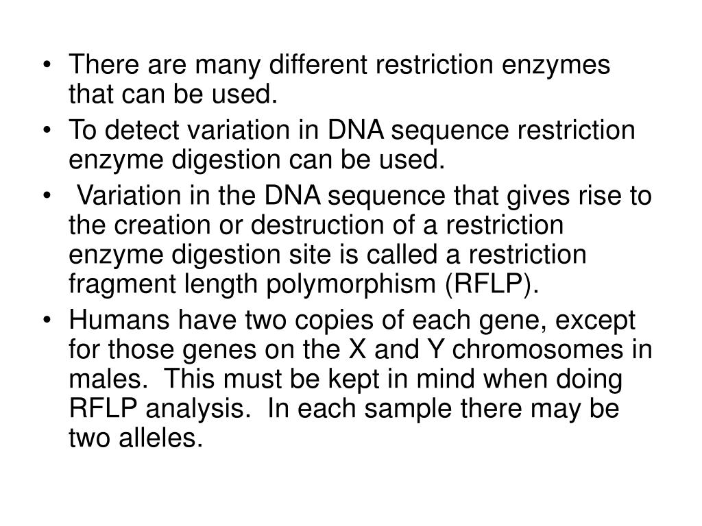 PPT Restriction Enzymes/endonucleases PowerPoint Presentation, free download ID5702989