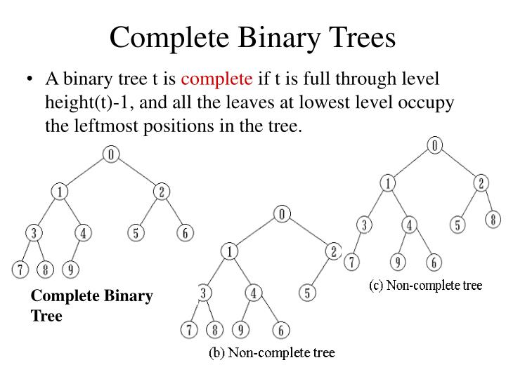 PPT - Chapter 10 Trees &Binary Trees PowerPoint Presentation - ID:5703504