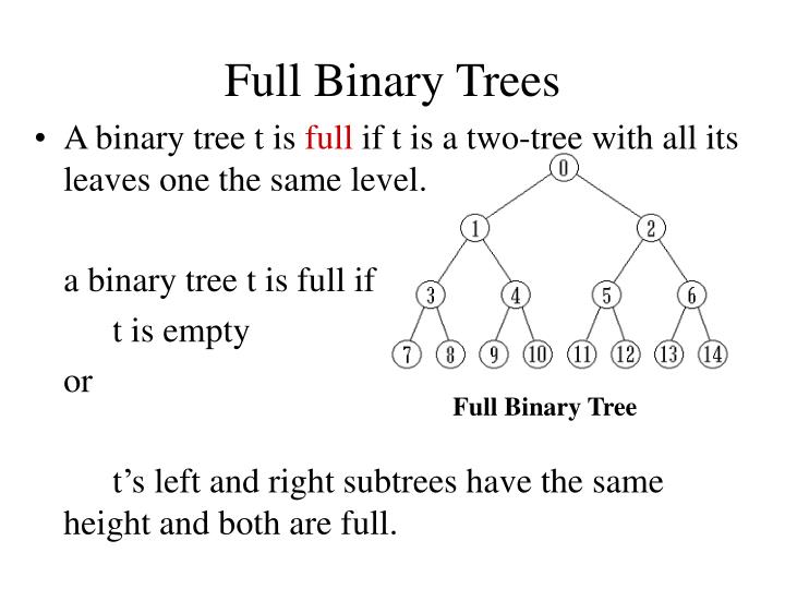 PPT - Chapter 10 Trees &Binary Trees PowerPoint Presentation - ID:5703504