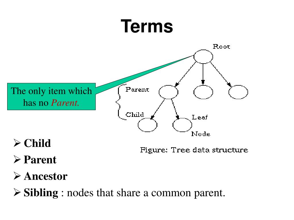 Домен дети. Common ANCESTOR Tree. Как устроено дерево node. Root node Inner node leafes in decision Tree.