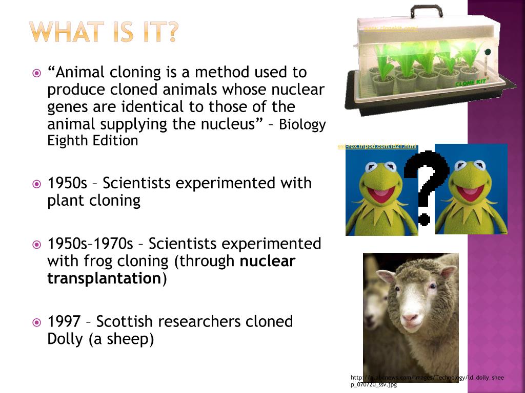 PPT YAY! Animal Cloning PowerPoint Presentation, free download ID