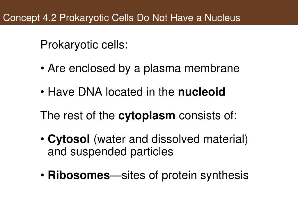 PPT - Cells: The Working Units of Life PowerPoint ...