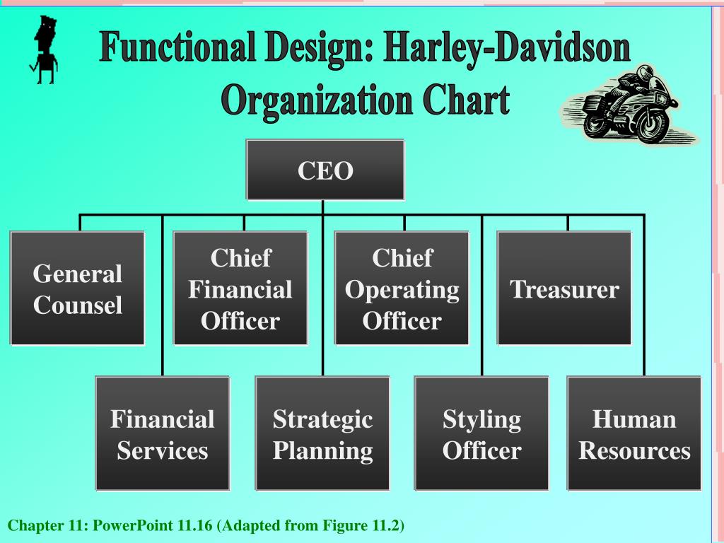 organizational structure used at harley davidson