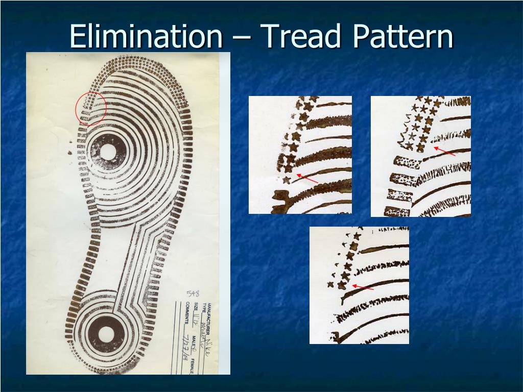 PPT Significance of Class Association of Shoe Prints PowerPoint