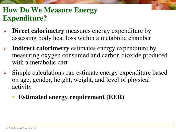 PPT Chapter 14 Energy Balance and Body Composition PowerPoint