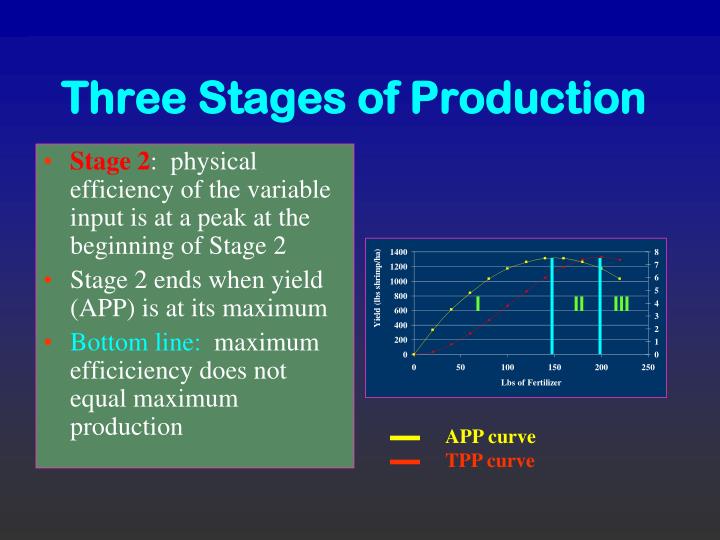 three stages of production three stages of production