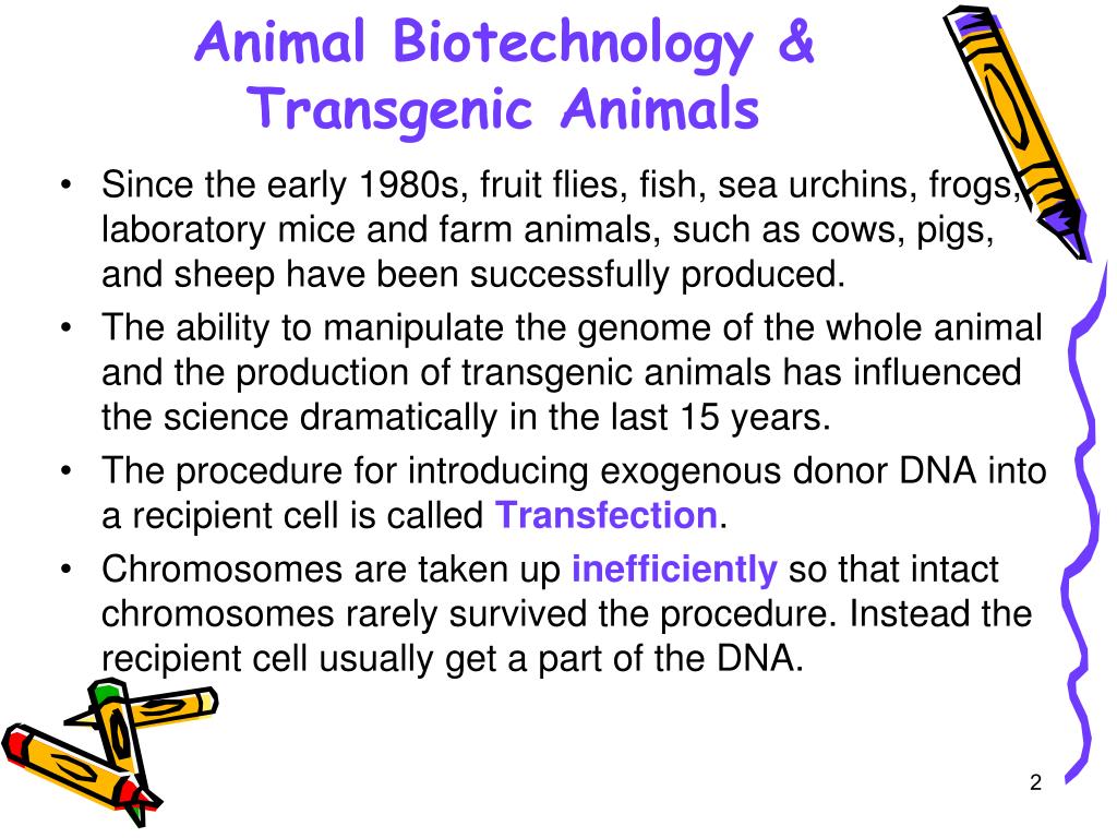 PPT Animal biotechnology lecture 2 PowerPoint