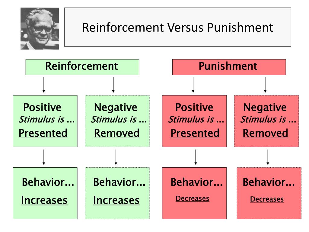 what is presentation punishment in learning