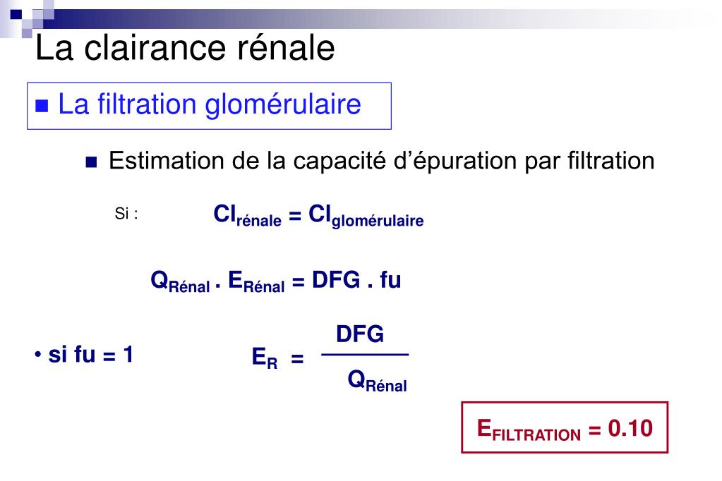 PPT - La clairance rénale Alain Bousquet-Mélou PowerPoint ...