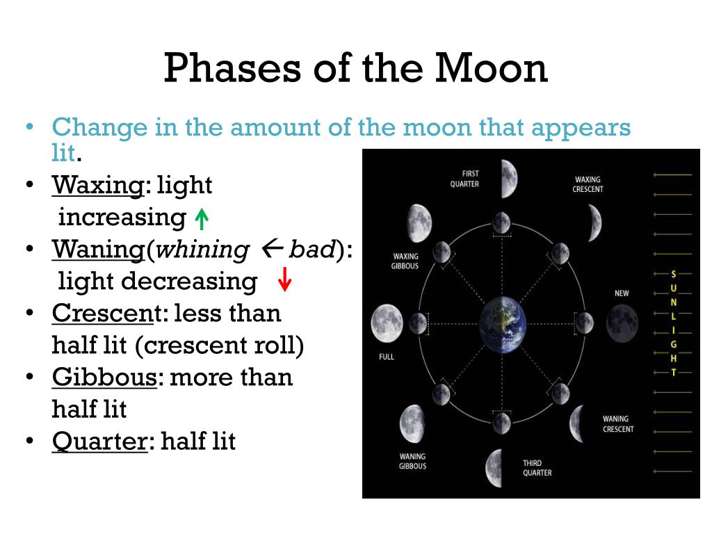 PPT - Ch. 22 Section 2 Sun -Earth- Moon PowerPoint Presentation, free ...