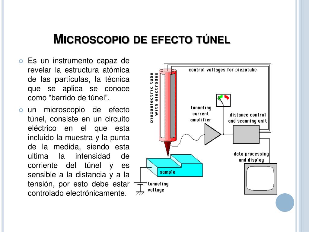 PPT - MICROSCOPIOS DE EFECTO Scanning Microscope STM) PowerPoint Presentation - ID:5714349