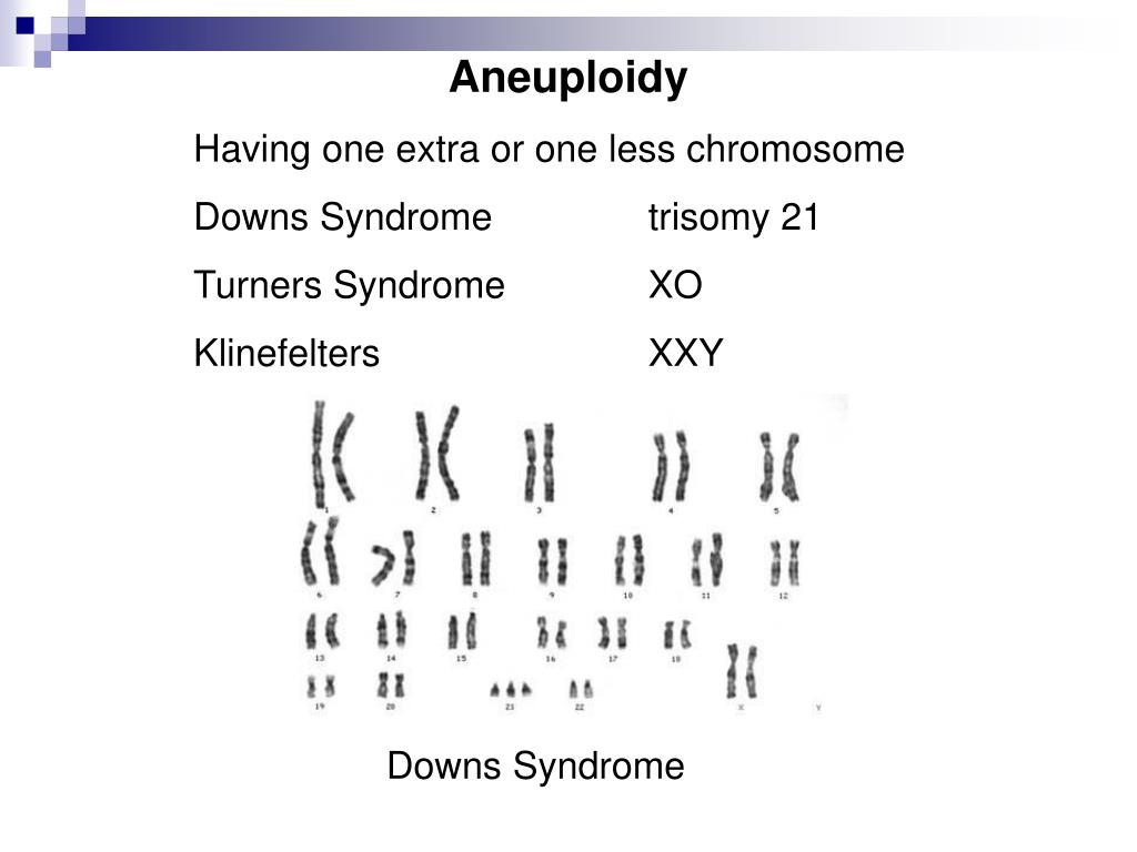 Ppt Chromosomes And Human Genetics Powerpoint