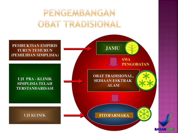 Ppt Obat Tradisional Powerpoint Presentation Id 5717038