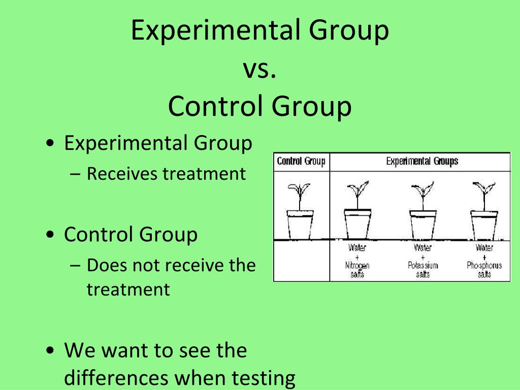 random assignment to experimental and control groups controls for research reactivity