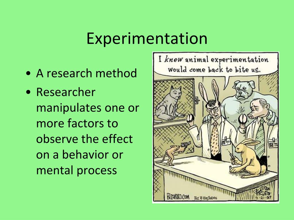 research experiment definition psychology