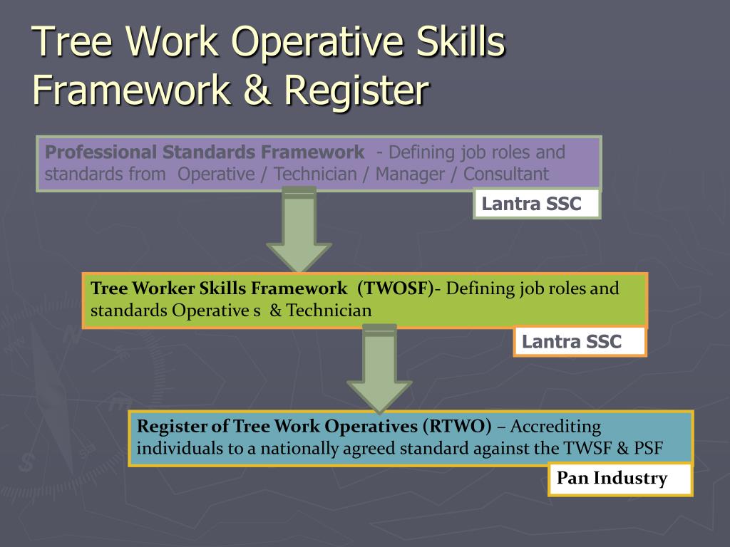 Occupational Tree PPT - PROFESSIONALISING ARBORICULTURE PowerPoint Presentation, free ...