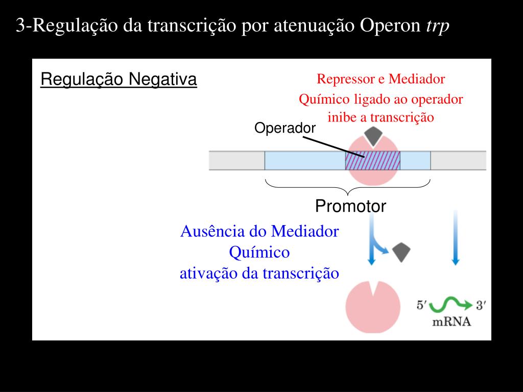 PPT - Regulação da Expressão Gênica em Procariotos PowerPoint Presentation  - ID:5718200