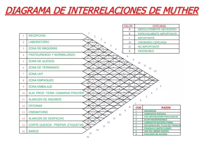 PPT - DIAGRAMA DE INTERRELACIONES DE MUTHER PowerPoint Presentation ...