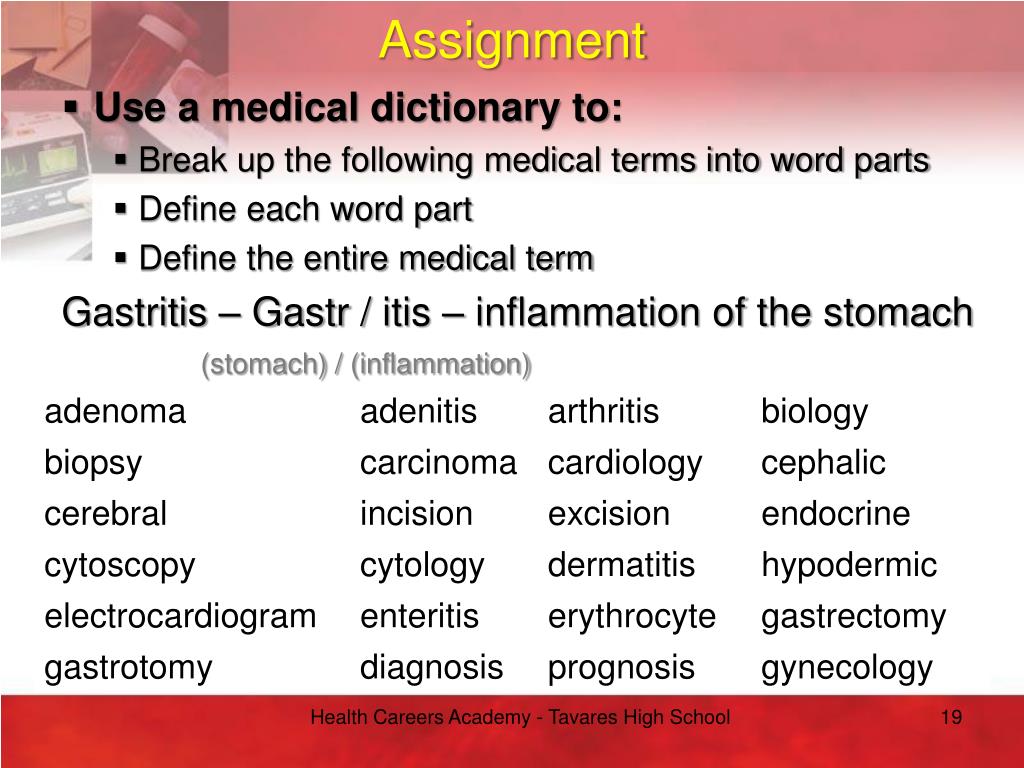 medical terminology assignment 1.1