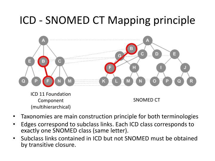 PPT - Ontology-based Convergence of Medical Terminologies: SNOMED CT ...