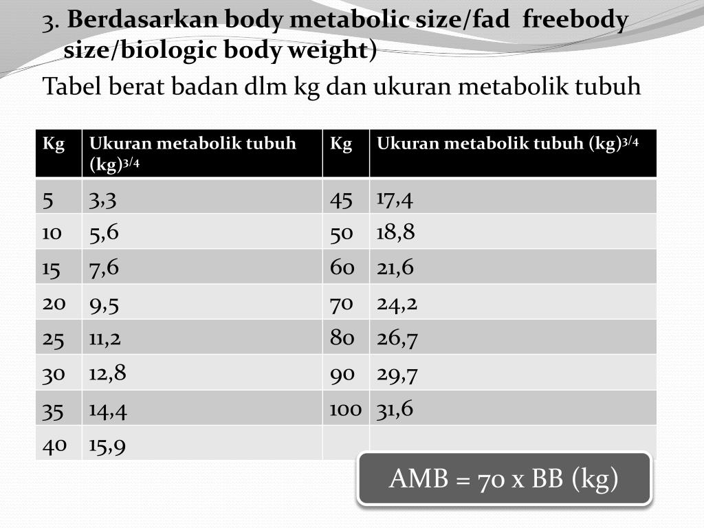 PPT - KEBUTUHAN ENERGI UNTUK METABOLISME BASAL (AMB) PowerPoint ...