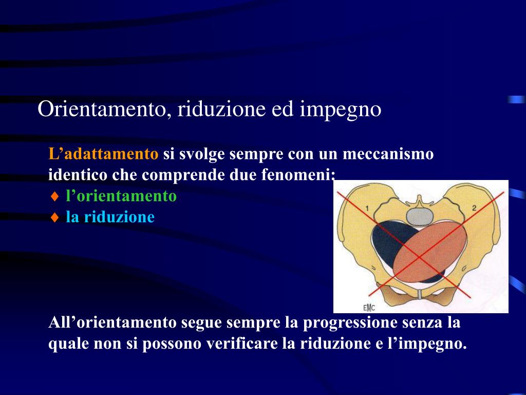 PPT - IL TRAVAGLIO FISIOLOGICO PowerPoint Presentation, free download -  ID:5722346