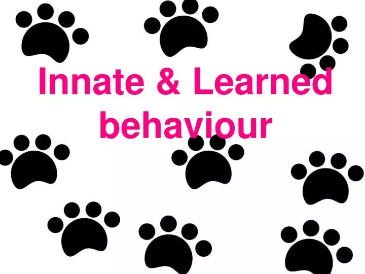 innate learned behaviour innate learned behaviour