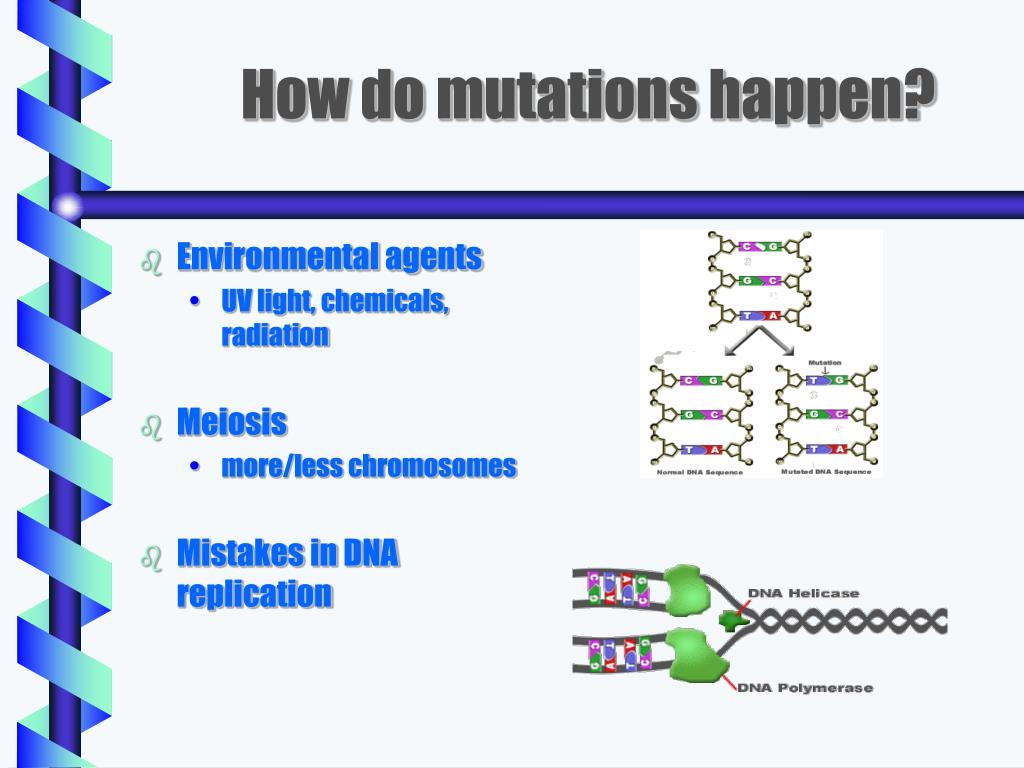 Ppt genetic mutations powerpoint presentation free download id 5723049