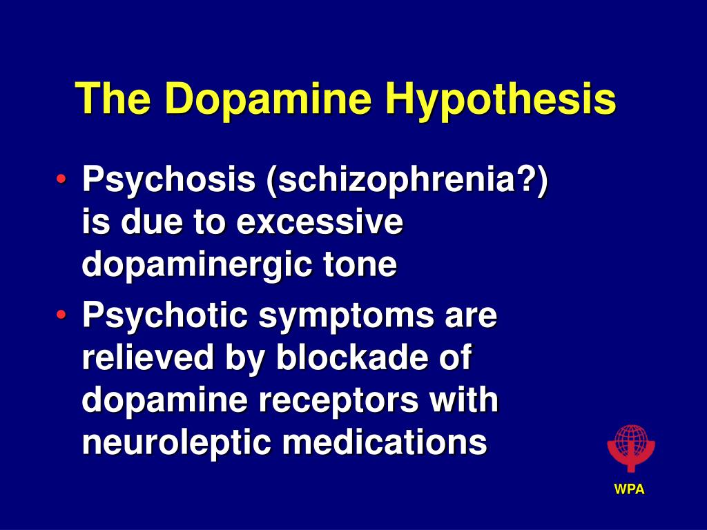 dopamine hypothesis