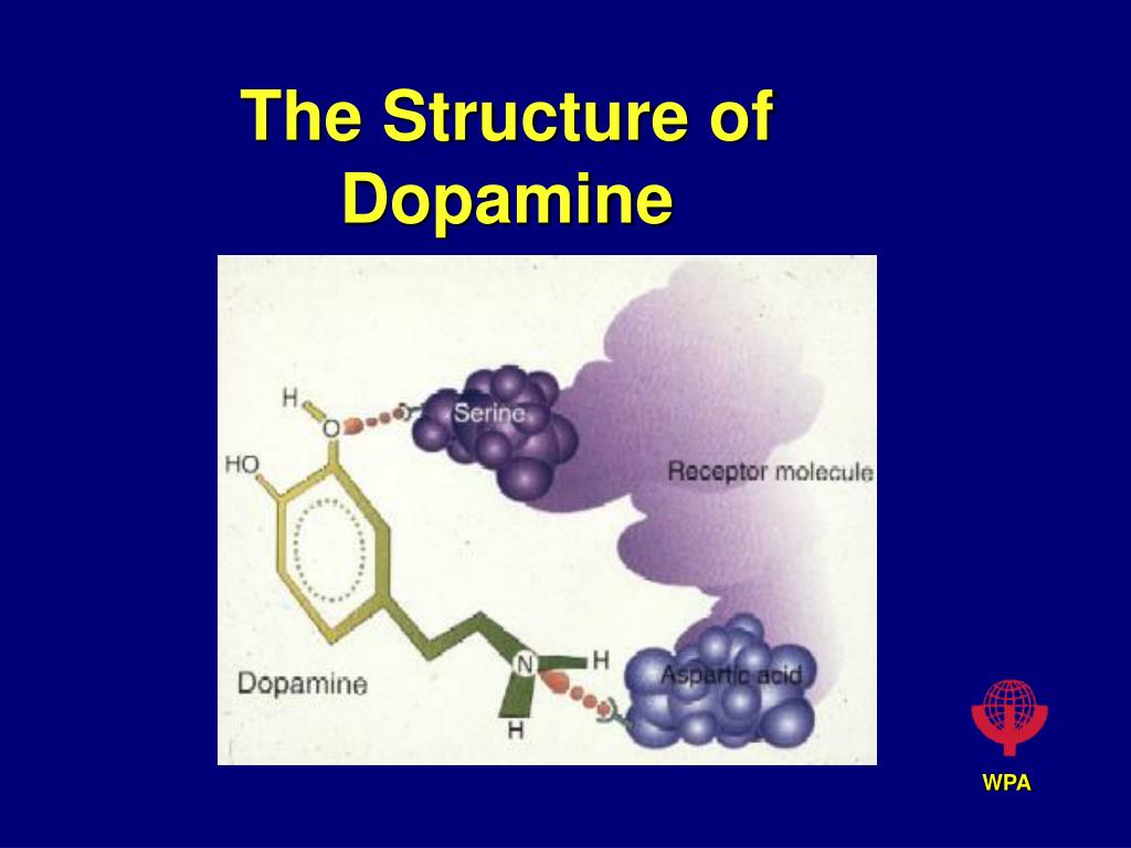 what is dopamine hypothesis
